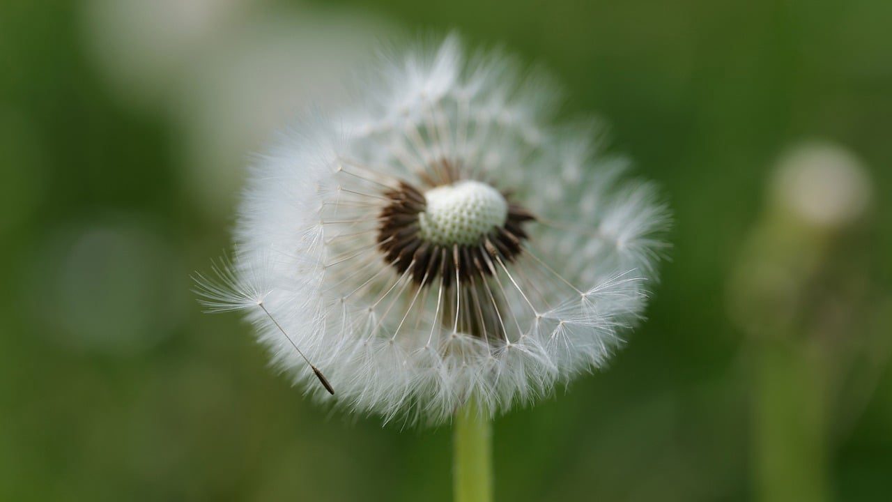eletrobomba111